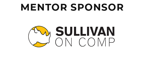 Mentor Sponsor #4
